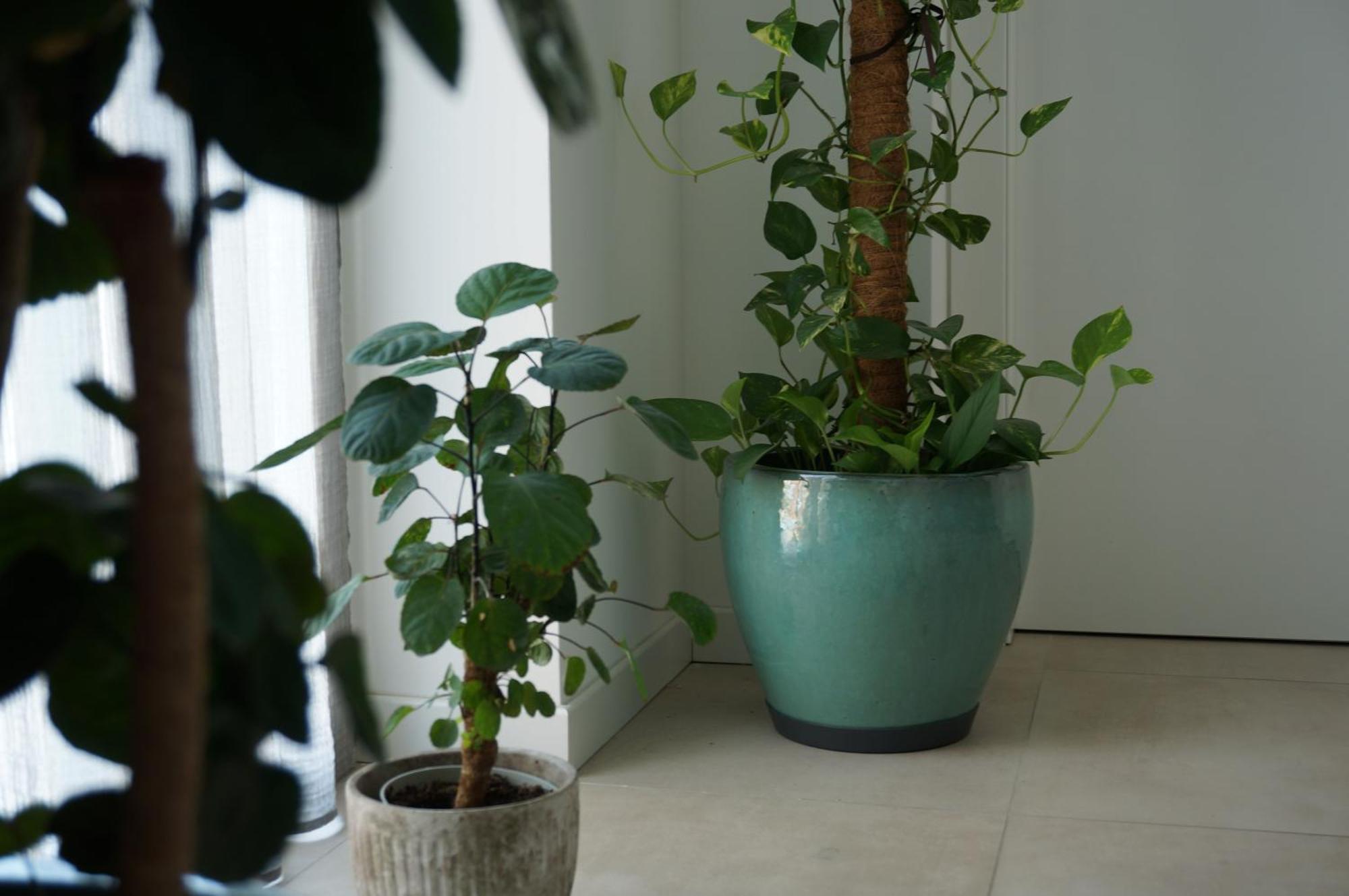 Green Stay Bergamo Buitenkant foto