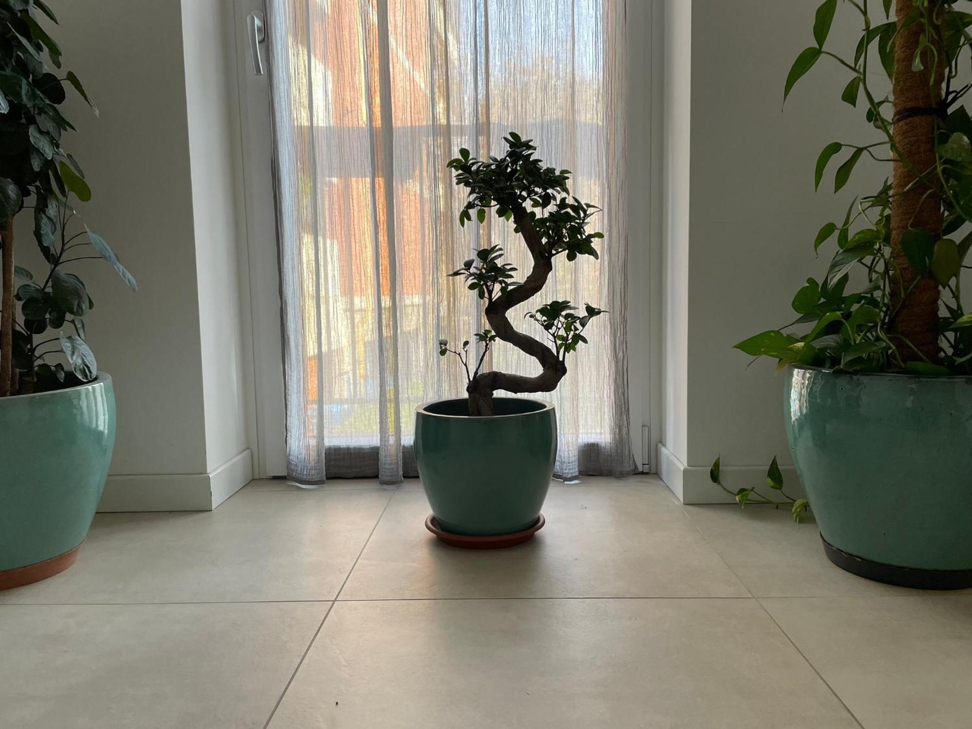 Green Stay Bergamo Buitenkant foto
